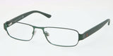 Polo 1133 Eyeglasses