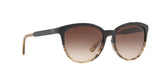 556713 - Brown - Brown Gradient