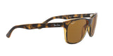 710/83 - Havana - Polar Brown