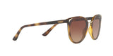 W65613 - Brown Gradient