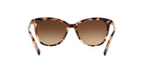 146313 - Havana - Dark Brown Gradient