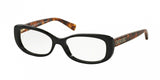 Michael Kors Provincetown 4023F Eyeglasses