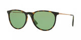 Ray Ban Erika 4171 Sunglasses