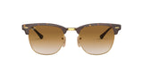 900851 - Havana - Clear Gradient Brown