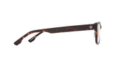075000 - Dark Tort