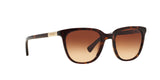 137813 - Havana - Brown Gradient