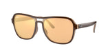 Ray Ban State Side 4356 Sunglasses