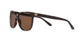 137883 - Havana - Brown Solid Polarized