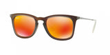 Ray Ban 4221 Sunglasses