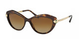 Bvlgari 8186KB Sunglasses