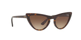 W65613 - Havana - Brown Gradient
