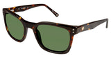 Sperry SPBRANTPOINT Sunglasses