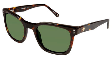 Sperry SPBRANTPOINT Sunglasses