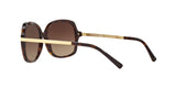 310613 - Dk Tortoise/gold