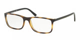 Polo 2162 Eyeglasses