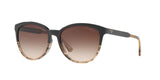 556713 - Brown - Brown Gradient