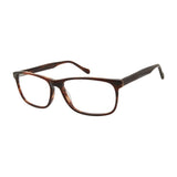 Aristar AR18653 Eyeglasses