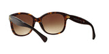 137813 - Havana - Brown Gradient