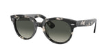 Ray Ban Orion 2199 Sunglasses