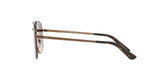 507413 - Havana - Brown Gradient