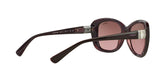 194114 - Brown - Pink Gradient Brown