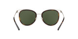 120071 - Silver Tone/dark Tortoise - Green Solid