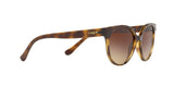 W65613 - Havana - Brown Gradient