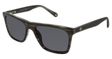 Sperry SPWICKFORD Sunglasses