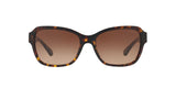 550713 - Dark Tortoise - Brown Gradient