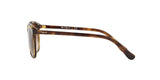 W65613 - Havana - Brown Gradient