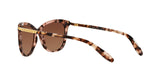 1463T5 - Havana - Brown Gradient Polarized