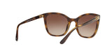 W65613 - Havana - Brown Gradient