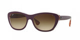 Ray Ban 4227 Sunglasses