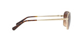 932213 - Light Gold - Brown Gradient
