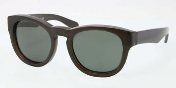 Polo 4081P Sunglasses