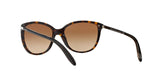 510/13 - Havana - Brown Gradient