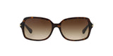 500113 - Havana - Brown Gradient