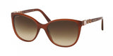 Bvlgari 8145B Sunglasses