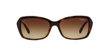 W65613 - Havana - Brown Gradient