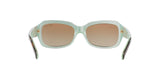 601/T5 - Havana - Polar Brown Gradient