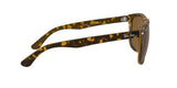 710/57 - Havana - Crystal Brown Polarized