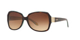 601/13 - Havana - Brown Gradient