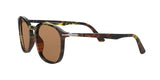 107953 - Tortoise Green Borown - Brown + Ar