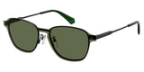 Polaroid Core Polaroid6119 Sunglasses