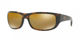 Ray Ban 4283CH Sunglasses