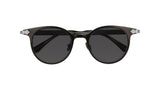 001 - Ruthenium/Havana - Brown