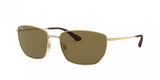 Ray Ban 3653 Sunglasses