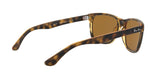 710/83 - Havana - Polar Brown