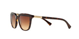 137813 - Havana - Brown Gradient